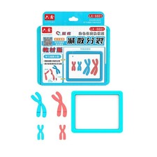 Listing image for Human Chromosome Model Practical Easy Assembly Easy to Use Biology Model Set