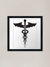 Listing image for Caduceus of Hermes healthcare t-shi Framed Wall Art Poster Canvas Print Picture