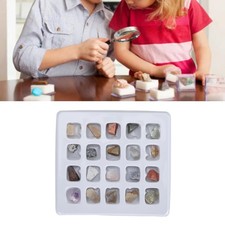 Listing image for Rock Science Education Kit Rock Collection Kit 20pcs Professional For Boys For