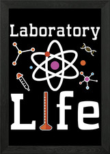 Listing image for Laboratory Life Science Framed Wall Art Poster Canvas Print Picture