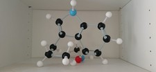 Listing image for DMT Spirit Molecule Model Psychedelic Science Stick and Ball Chemisty Molecular
