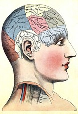 Listing image for 1914 Phrenology Head Vintage Style Medical Science Chart Print Poster 20x30