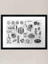 Listing image for Biology Framed Art Print Framed Wall Art Poster Canvas Print Picture